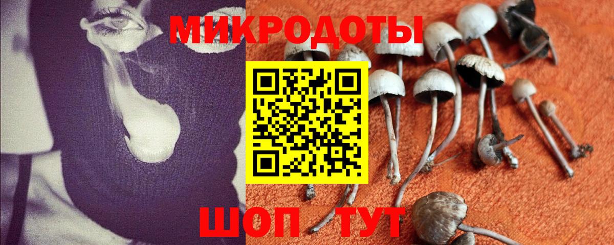 Псилоцибиновые грибы Psilocybe  Вход с VPN  наркотики  Иркутск 