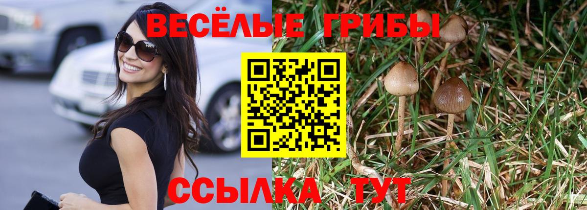 Псилоцибиновые грибы Magic Shrooms Иркутск